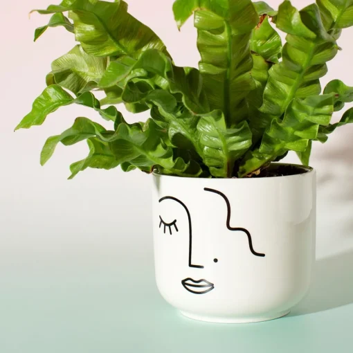 Hot Sass and Belle Abstract Face White Large Planter