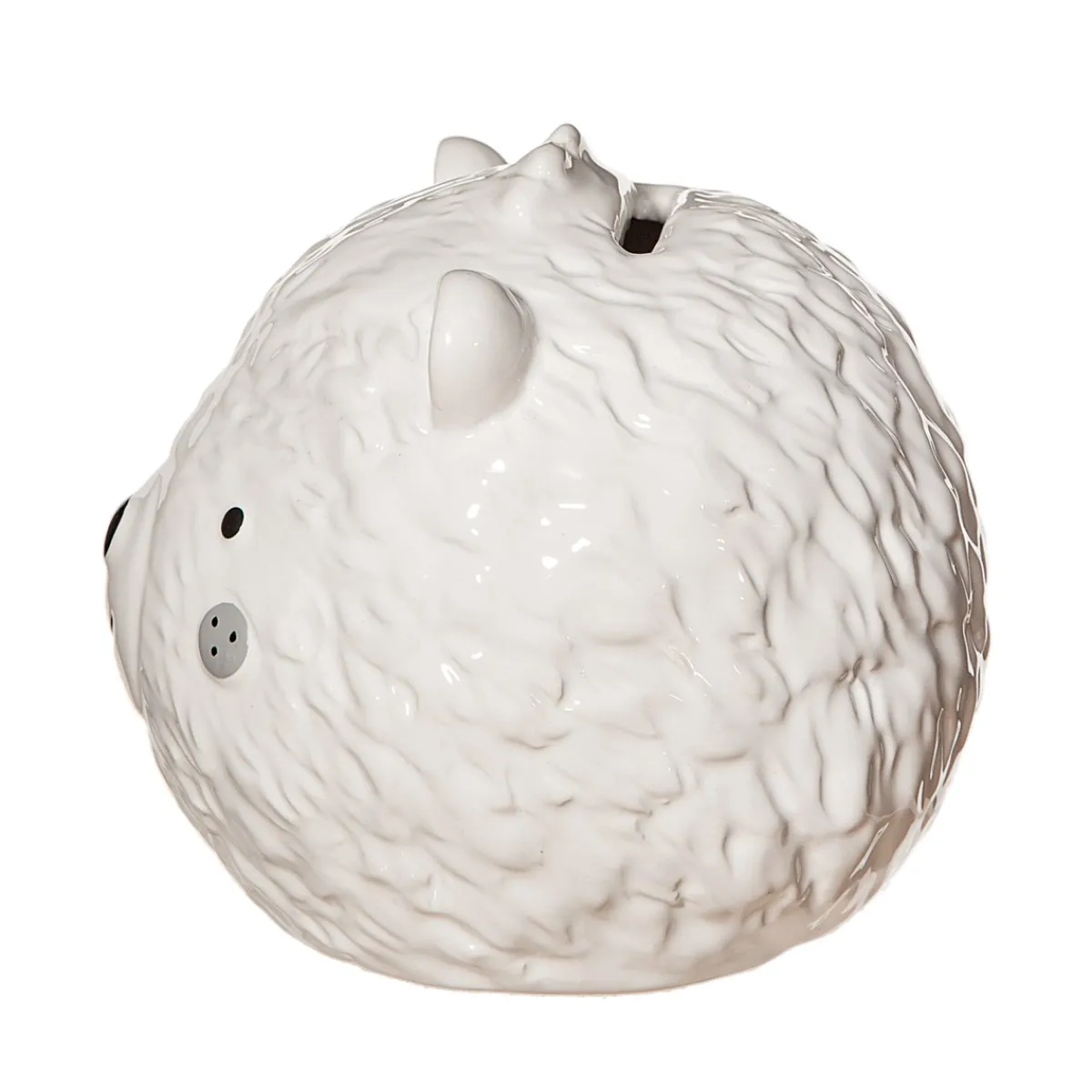 Clearance Sass and Belle Bear Money Box