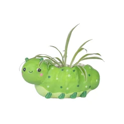 Clearance Sass and Belle Caterpillar Mini Planter
