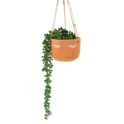 New Sass and Belle Eyes Shut Terracotta Hanging Planter