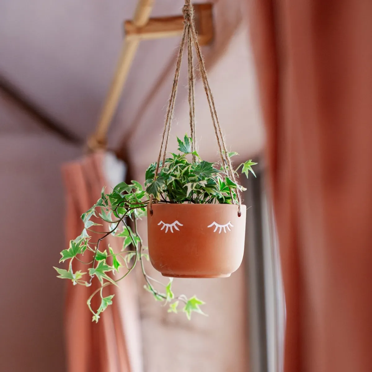 New Sass and Belle Eyes Shut Terracotta Hanging Planter