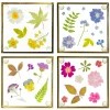 Sale Sass and Belle Flower Print Glass Coasters