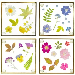 Sale Sass and Belle Flower Print Glass Coasters