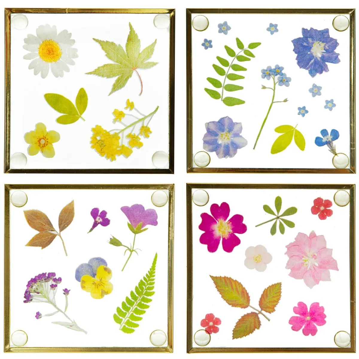 Sale Sass and Belle Flower Print Glass Coasters