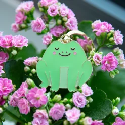 Discount Sass and Belle Frog Enamel Keyring