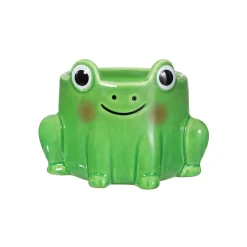 New Sass and Belle Frog Mini Planter