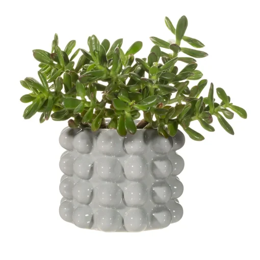 Sale Sass and Belle Grey Bobble Planter