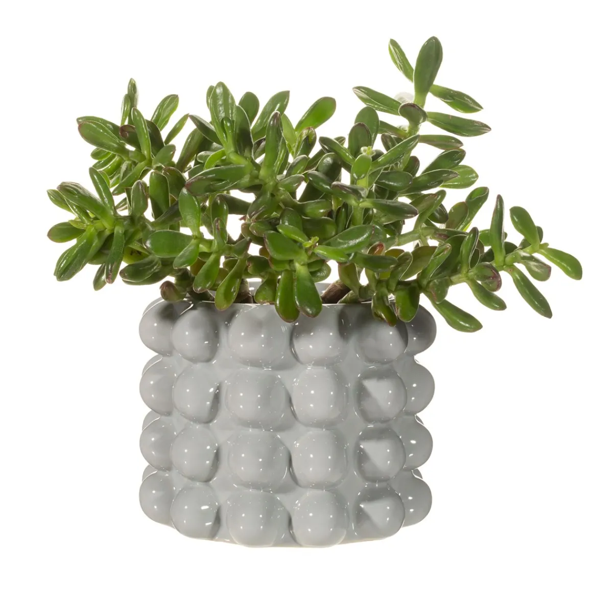 Sale Sass and Belle Grey Bobble Planter