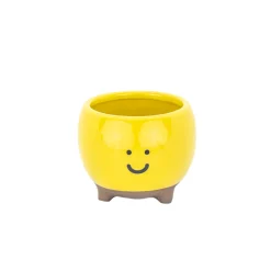 New Sass and Belle Happy Planter