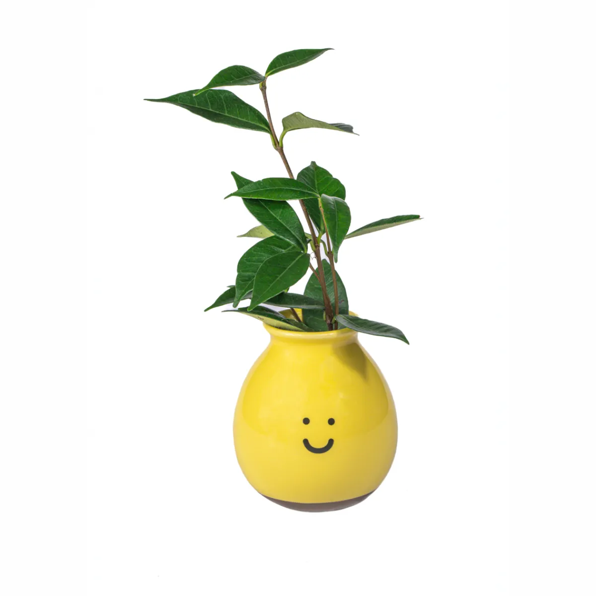 Hot Sass and Belle Happy Vase