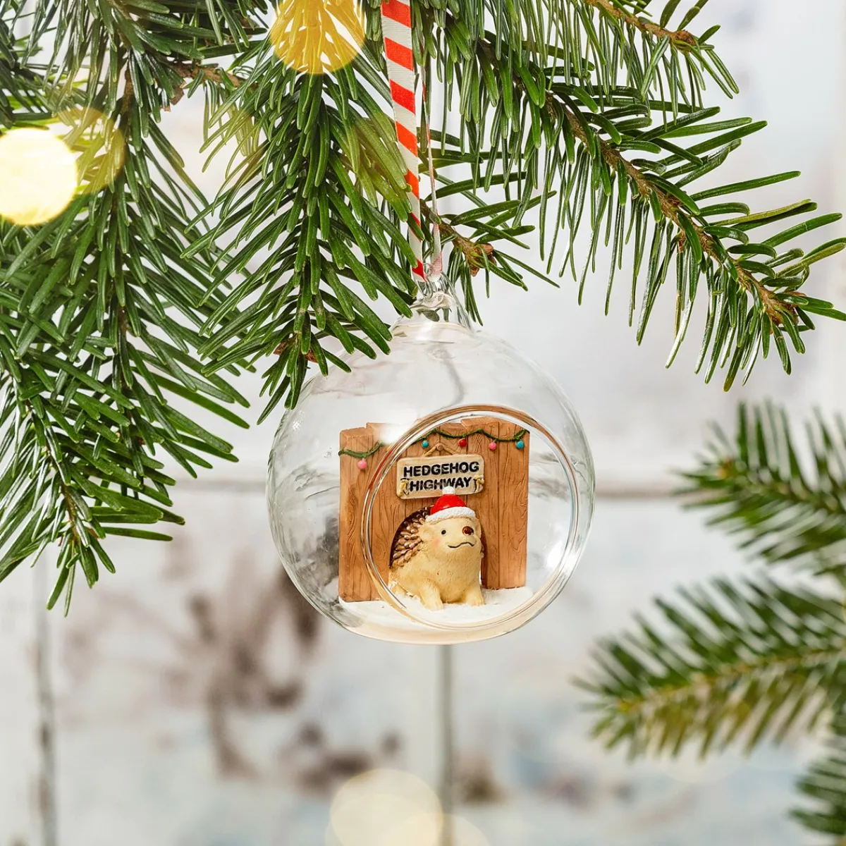 Best Sass and Belle Hedgehog Highway Dome Bauble