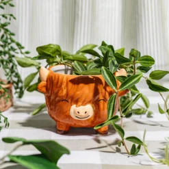 Outlet Sass and Belle Highland Cow Mini Planter on Legs