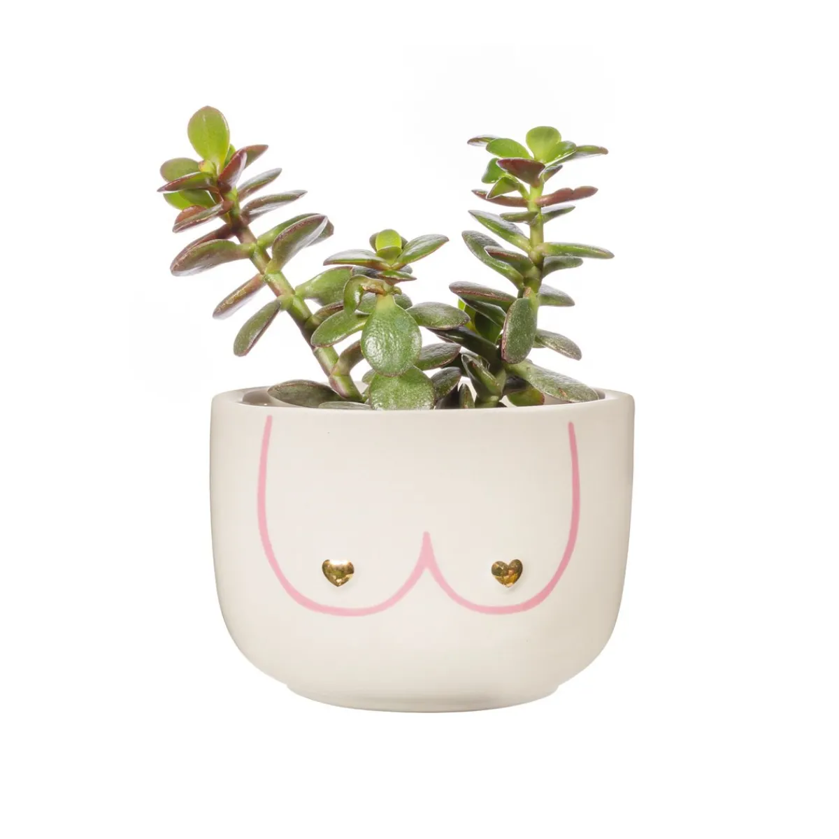 New Sass and Belle Large Girl Power Boobies White Planter