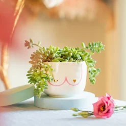 New Sass and Belle Large Girl Power Boobies White Planter