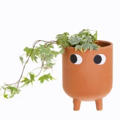 Sass and Belle Leggy Terracotta Planter