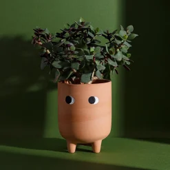 Sass and Belle Leggy Terracotta Planter