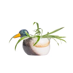 Outlet Sass and Belle Mallard Duck Mini Planter