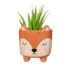 Hot Sass and Belle Mini Fox Planter on Legs
