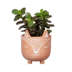 Discount Sass and Belle Mini Woodland Fox Terracotta Planter