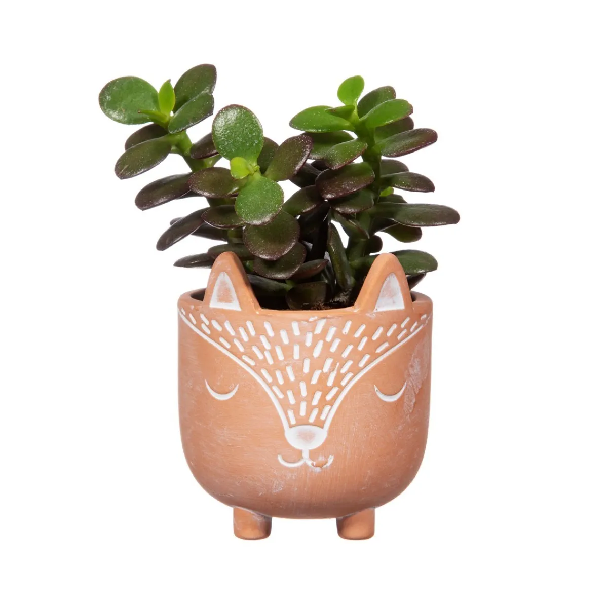 Discount Sass and Belle Mini Woodland Fox Terracotta Planter