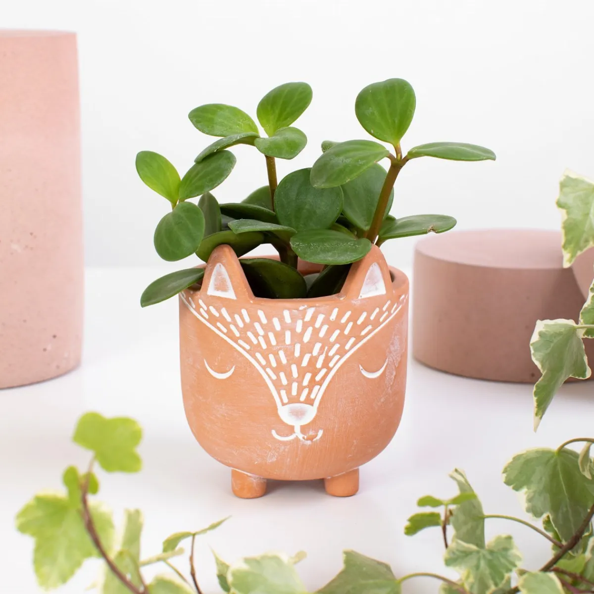 Discount Sass and Belle Mini Woodland Fox Terracotta Planter