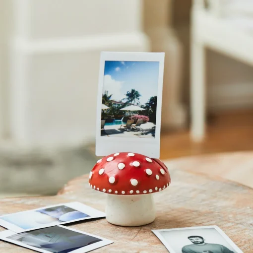 Discount Sass and Belle Mushroom Photo Holder