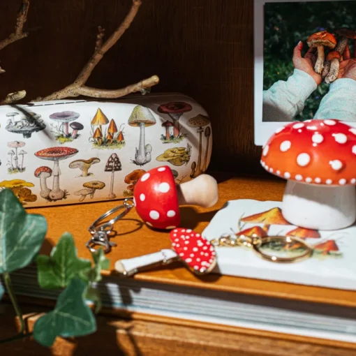 Discount Sass and Belle Mushroom Photo Holder