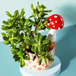 New Sass and Belle Mushroom Shaped Watering Spike Red