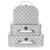 Hot Sass and Belle Nordic Star Suitcases Grey - Set of 3