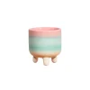Discount Sass and Belle Pastel Ombre Leggy Planter Small