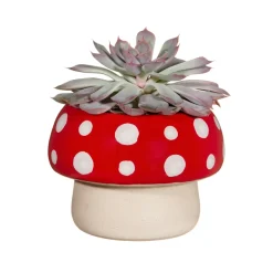 Online Sass and Belle Red Mushroom Large Planter
