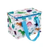 Best Sass and Belle Roarsome Dinosaurs Lunch Bag