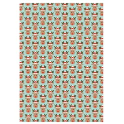 Outlet Sass and Belle Rudi Rudolph Wrapping Paper