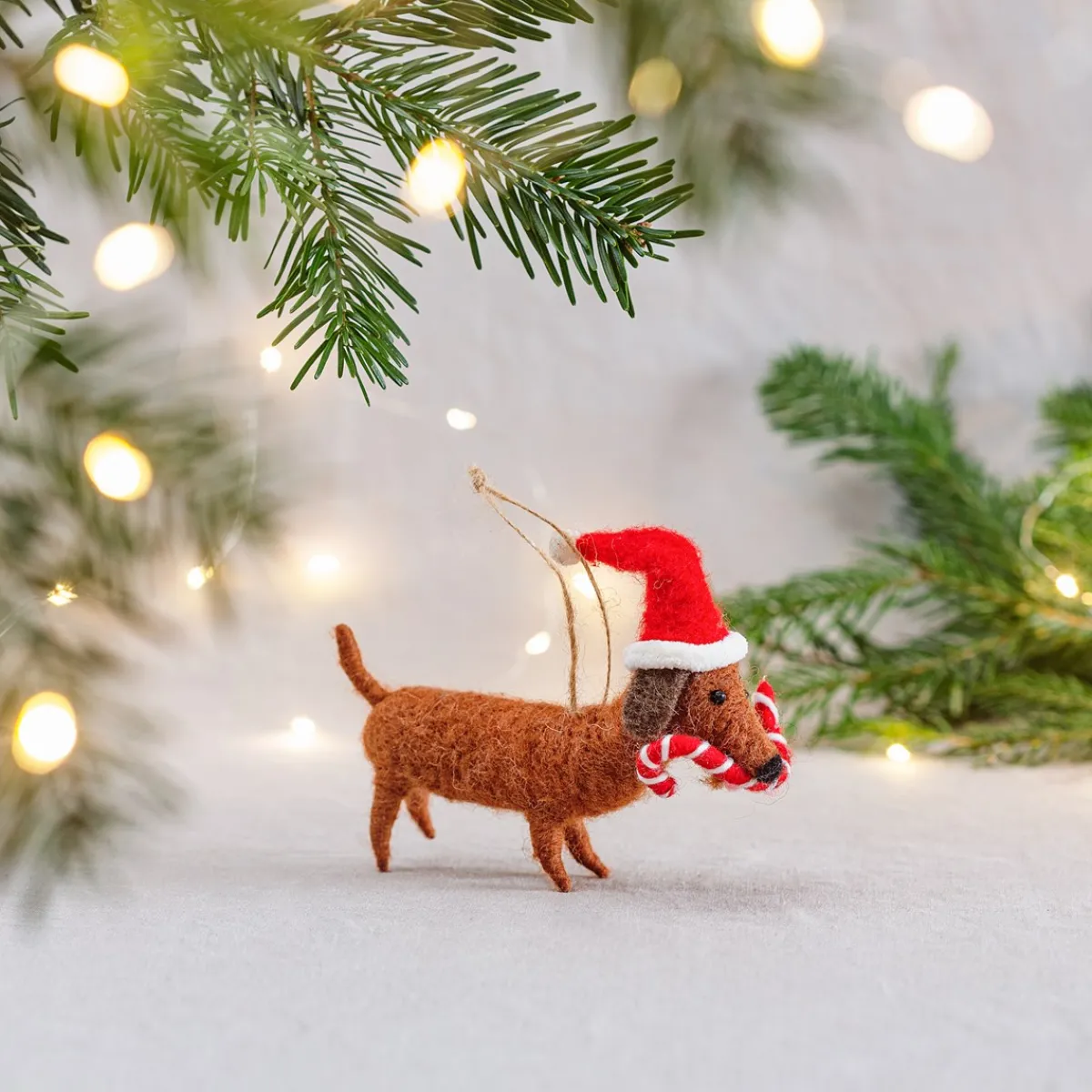 Outlet Sass and Belle Sausage Dog with Candy Cane Hanging Decoration