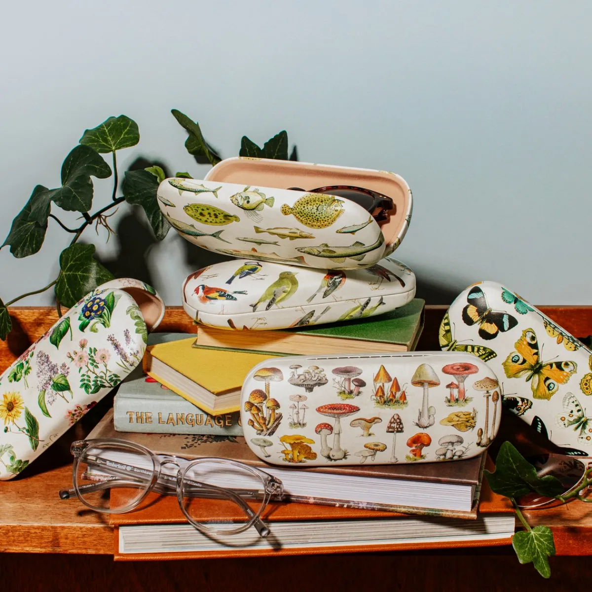 New Sass and Belle Vintage Butterflies Glasses Case