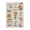 Hot Sass and Belle Vintage Mushrooms A5 Notebook