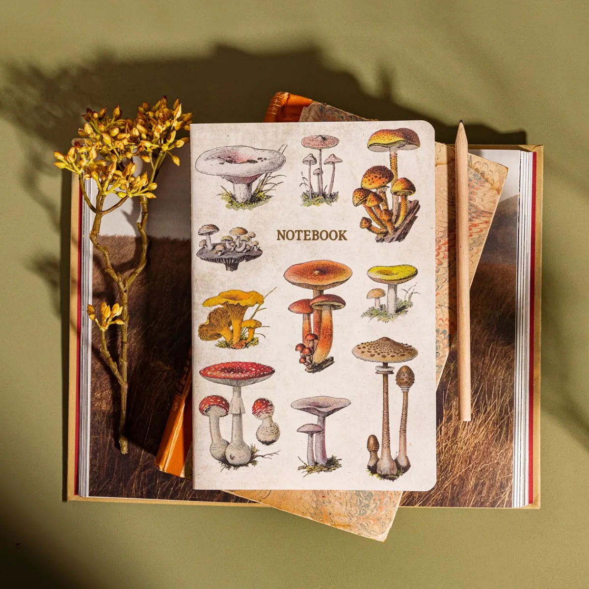 Hot Sass and Belle Vintage Mushrooms A5 Notebook